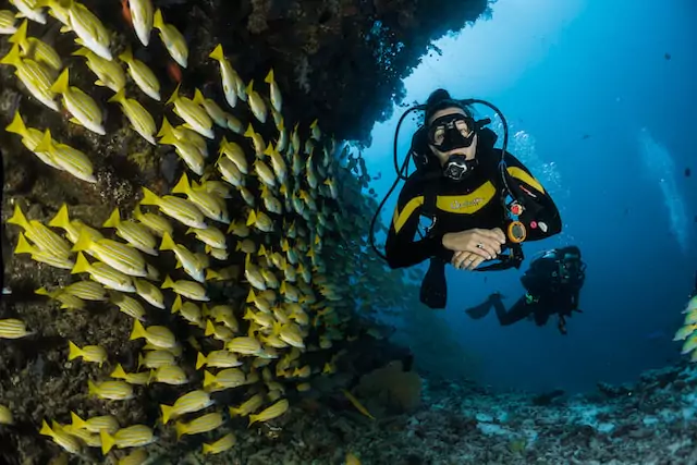 Action on the Waves: Exciting Visuals Marking Your Maldives Water Sports